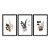 Kit 3 Quadros Decorativos Folhas E Flores Em Um Vaso Minimalista - Imagem 3