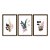 Kit 3 Quadros Decorativos Folhas E Flores Em Um Vaso Minimalista - Imagem 5