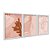 Kit 3 Quadros Decorativos Desenhos Abstratos Boho Plantas Riscos - Imagem 2