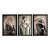 Kit 3 Quadros Decorativos Animais Usando Roupas Humanas Fundo Bege - Imagem 3