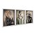 Kit 3 Quadros Decorativos Animais Usando Roupas Humanas Fundo Bege - Imagem 2