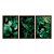 Kit 3 Quadros Decorativos Plantas Verde Com Folhas Grandes Natureza - Imagem 4