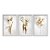 Kit 3 Quadros Decorativos Flores Douradas Sob Superfície Branca - Imagem 1