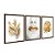 Kit 3 Quadros Decorativos Mulher Com Batom Dourado Plantas Douradas - Imagem 6