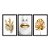 Kit 3 Quadros Decorativos Mulher Com Batom Dourado Plantas Douradas - Imagem 3