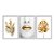 Kit 3 Quadros Decorativos Mulher Com Batom Dourado Plantas Douradas - Imagem 1