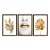 Kit 3 Quadros Decorativos Mulher Com Batom Dourado Plantas Douradas - Imagem 5