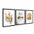 Kit 3 Quadros Decorativos Mulher Com Batom Dourado Plantas Douradas - Imagem 4