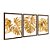 Kit 3 Quadros Decorativos Costelas De Adão Douradas Fundo Branco - Imagem 6