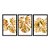 Kit 3 Quadros Decorativos Costelas De Adão Douradas Fundo Branco - Imagem 3