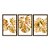 Kit 3 Quadros Decorativos Costelas De Adão Douradas Fundo Branco - Imagem 5