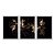 Kit 3 Quadros Decorativos Flores Douradas Fundo Preto Moderno - Imagem 1