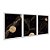 Kit 3 Quadros Decorativos Fundo Preto Pepitas de Ouro Linhas Douradas Abstratos - Imagem 2