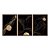 Kit 3 Quadros Decorativos Fundo Preto Pepitas de Ouro Linhas Douradas Abstratos - Imagem 5