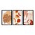 Kit 3 Quadros Decorativos Folhas E Frutras Abstrato Boho - Imagem 3