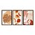 Kit 3 Quadros Decorativos Folhas E Frutras Abstrato Boho - Imagem 5