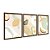 Kit 3 Quadros Decorativos Desenho Abacate E Laranja Listras Verdes e Amarelas - Imagem 6