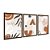 Kit 3 Quadros Decorativos Objetos Abstratos Marrons Pantas Fundo Bege - Imagem 6
