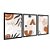 Kit 3 Quadros Decorativos Objetos Abstratos Marrons Pantas Fundo Bege - Imagem 4