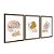 Kit 3 Quadros Decorativos Formas Beges E laranja Plantas Desenhadas - Imagem 6