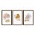 Kit 3 Quadros Decorativos Formas Beges E laranja Plantas Desenhadas - Imagem 5