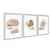 Kit 3 Quadros Decorativos Formas Beges E laranja Plantas Desenhadas - Imagem 2