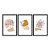 Kit 3 Quadros Decorativos Formas Beges E laranja Plantas Desenhadas - Imagem 3