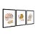 Kit 3 Quadros Decorativos Formas Beges E laranja Plantas Desenhadas - Imagem 4