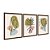 Kit 3 Quadros Decorativos Formas Coloridas Desenho Plantas E Folhas - Imagem 6