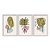Kit 3 Quadros Decorativos Formas Coloridas Desenho Plantas E Folhas - Imagem 1