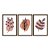 Kit 3 Quadros Decorativos Formas Marrom Desenho Plantas E Folhas - Imagem 5