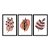 Kit 3 Quadros Decorativos Formas Marrom Desenho Plantas E Folhas - Imagem 3