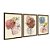 Kit 3 Quadros Decorativos Manchas Texturizadas Boho Plantas Abstrato Fundo Bege - Imagem 6
