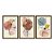 Kit 3 Quadros Decorativos Manchas Texturizadas Boho Plantas Abstrato Fundo Bege - Imagem 5