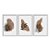 Kit 3 Quadros Decorativos Manchas de Tinta Sobrepostas Marrom Plantas Abstrato - Imagem 1