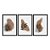 Kit 3 Quadros Decorativos Manchas de Tinta Sobrepostas Marrom Plantas Abstrato - Imagem 3