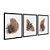 Kit 3 Quadros Decorativos Manchas de Tinta Sobrepostas Marrom Plantas Abstrato - Imagem 4