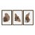 Kit 3 Quadros Decorativos Manchas de Tinta Sobrepostas Marrom Plantas Abstrato - Imagem 5