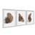 Kit 3 Quadros Decorativos Manchas de Tinta Sobrepostas Marrom Plantas Abstrato - Imagem 2