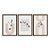 Kit 3 Quadros Decorativos Plantas Com Folhas Fundo Listrado - Imagem 5