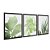 Kit 3 Quadros Decorativos Silhueta Plantas Verder Fundo Branco - Imagem 4