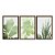 Kit 3 Quadros Decorativos Silhueta Plantas Verder Fundo Branco - Imagem 5