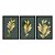 Kit 3 Quadros Decorativos Plantas Douradas Fundo Ciano - Imagem 3