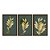 Kit 3 Quadros Decorativos Plantas Douradas Fundo Ciano - Imagem 5