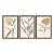 Kit 3 Quadros Decorativos Plantas Abstratas Formas Boho Moderno - Imagem 5