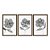 Kit 3 Quadros Decorativos Flores Cinzas Estampadas Fundo Branco - Imagem 5