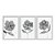 Kit 3 Quadros Decorativos Flores Cinzas Estampadas Fundo Branco - Imagem 1