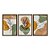 Kit 3 Quadros Decorativos Formas Boho Linhas Brancas Flores Desenho - Imagem 5
