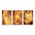 Kit 3 Quadros Decorativos Metal Ouro Dourado Abstrato Moderno - Imagem 1