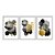 Kit 3 Quadros Decorativos Desenho Geométrico Texturizado Dourado Preto E Branco Abstrato - Imagem 1